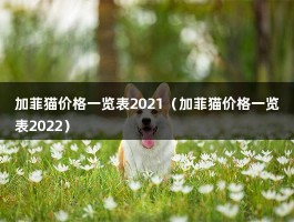 加菲猫价格一览表2021（加菲猫价格一览表2022）