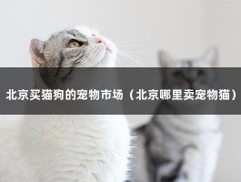 北京买猫狗的宠物市场（北京哪里卖宠物猫）